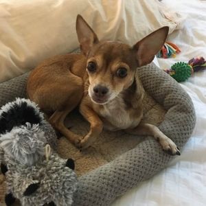 Meet your Posher, Carol